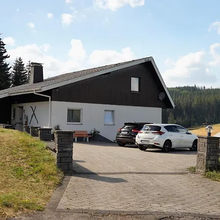 Schwarzwaldblick Lejlighed Eisenbach  Eksteriør billede