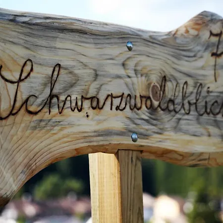 Schwarzwaldblick Lejlighed Eisenbach  Eksteriør billede