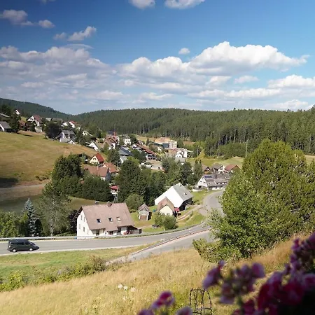 Schwarzwaldblick Lejlighed Eisenbach  Eksteriør billede