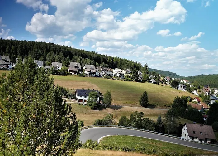 Schwarzwaldblick