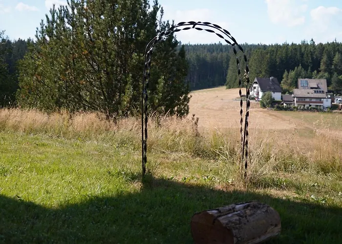 Schwarzwaldblick