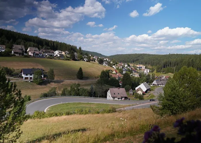 Schwarzwaldblick