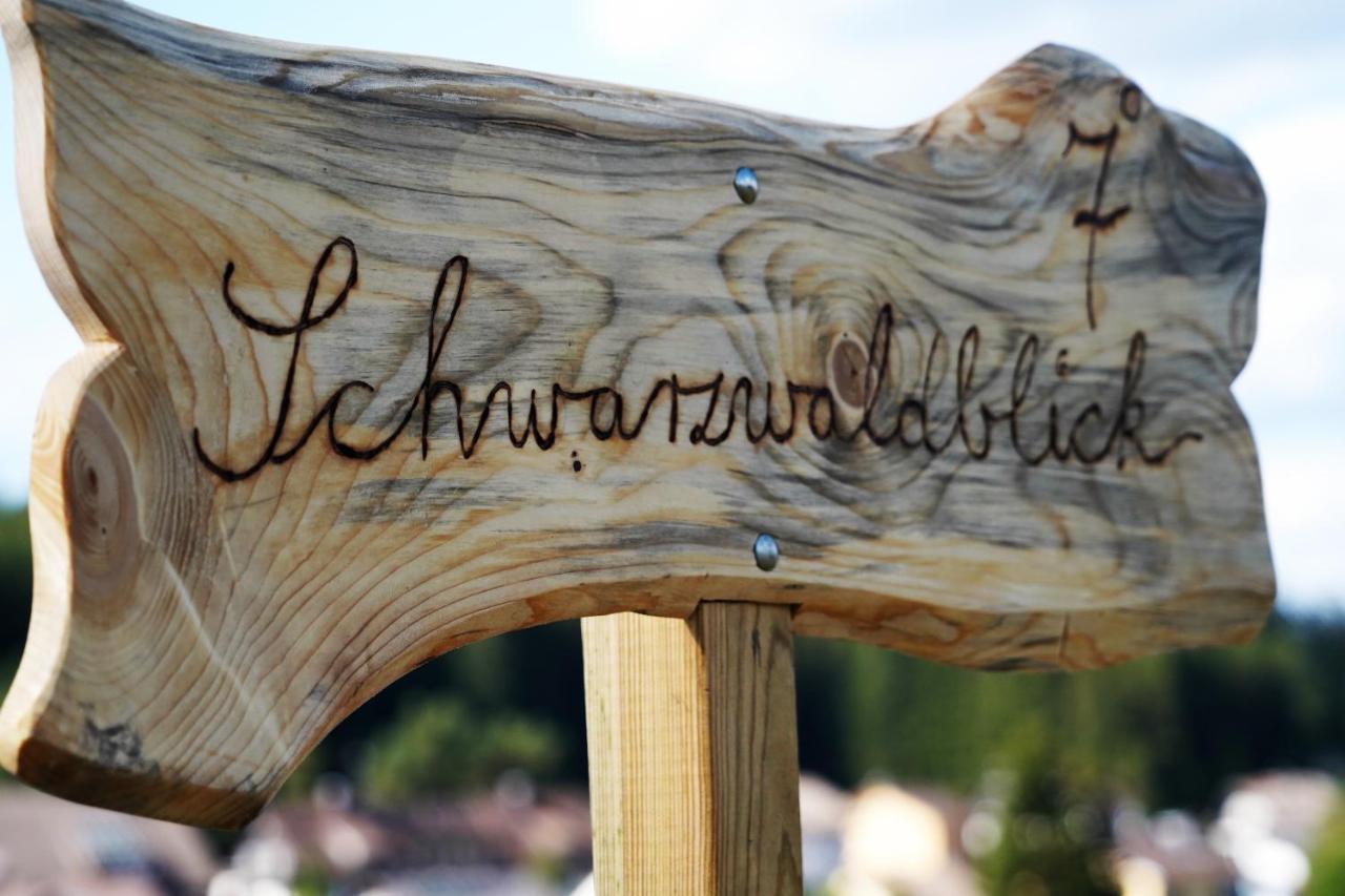 Schwarzwaldblick Eisenbach (Breisgau-Hochschwarzwald)
