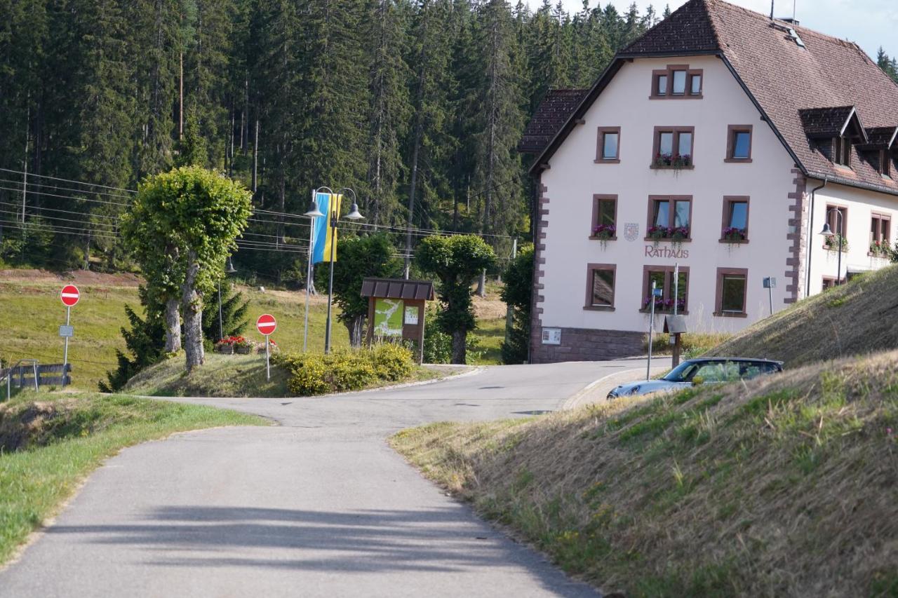 Schwarzwaldblick Apartment *