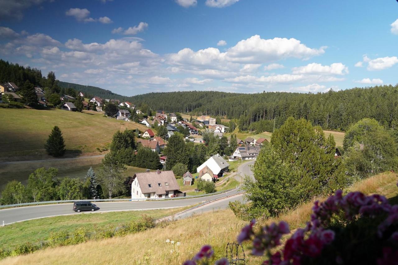 Schwarzwaldblick Eisenbach (Breisgau-Hochschwarzwald)