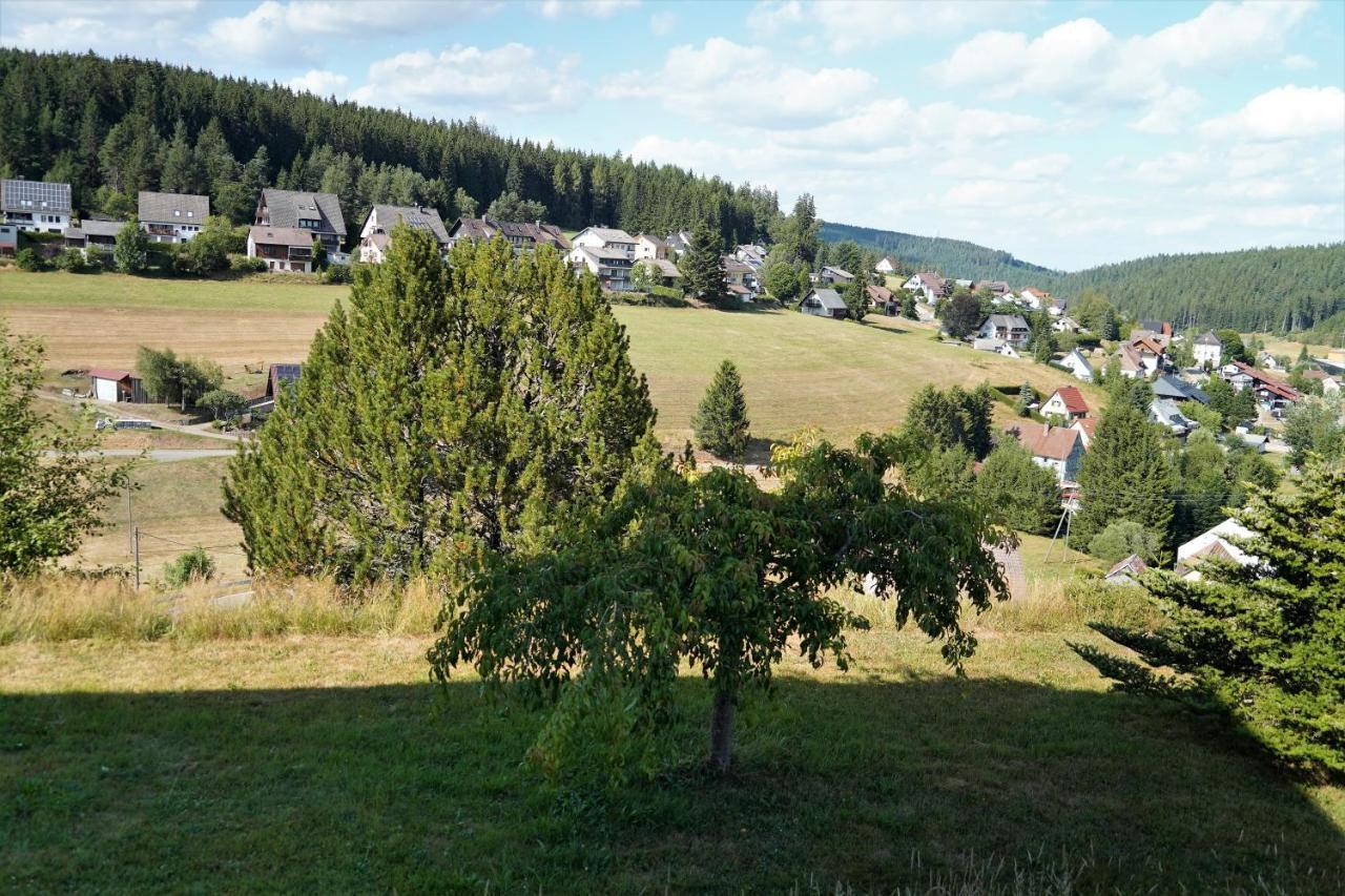 Apartment Schwarzwaldblick *