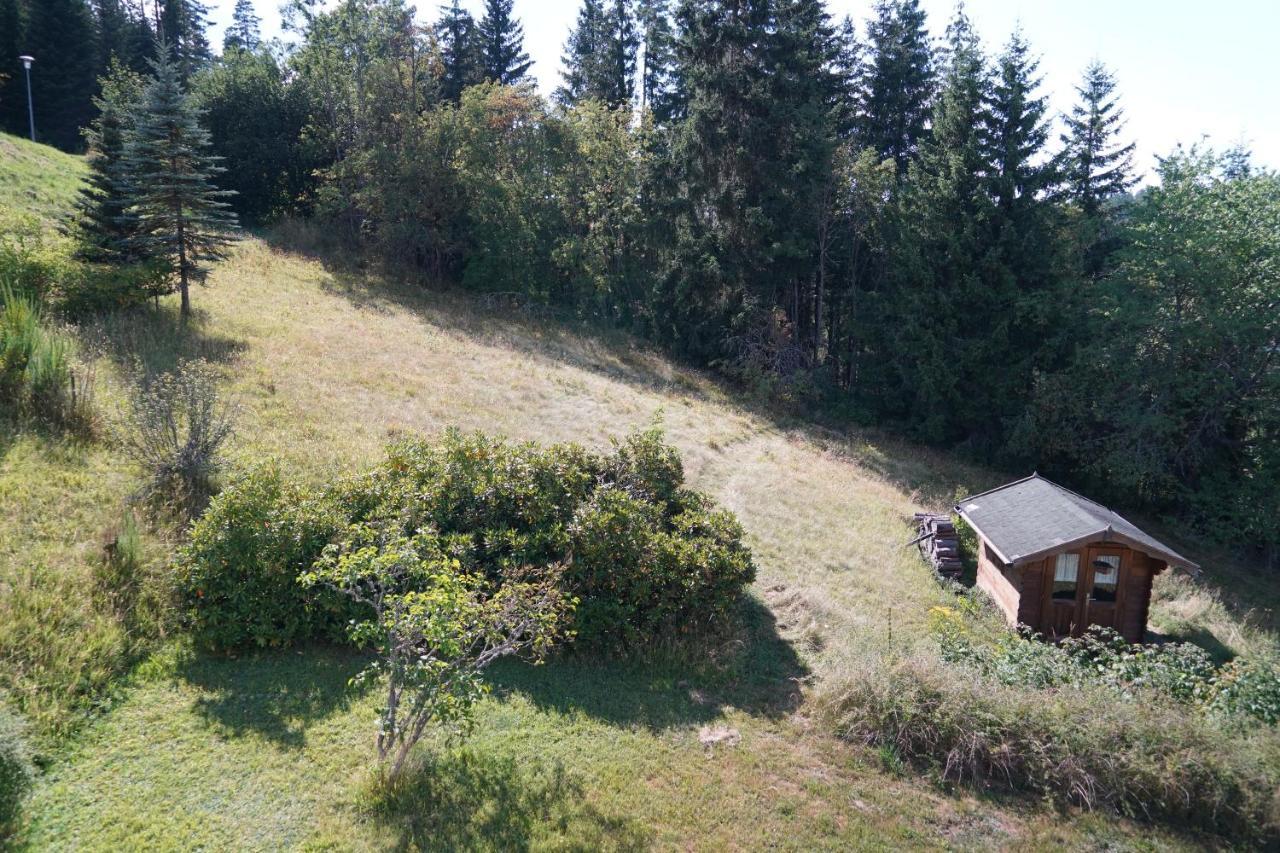 Appartement Schwarzwaldblick Eisenbach (Breisgau-Hochschwarzwald)