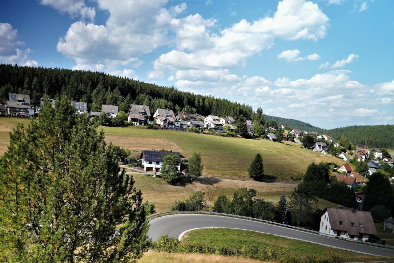 Schwarzwaldblick Appartement
