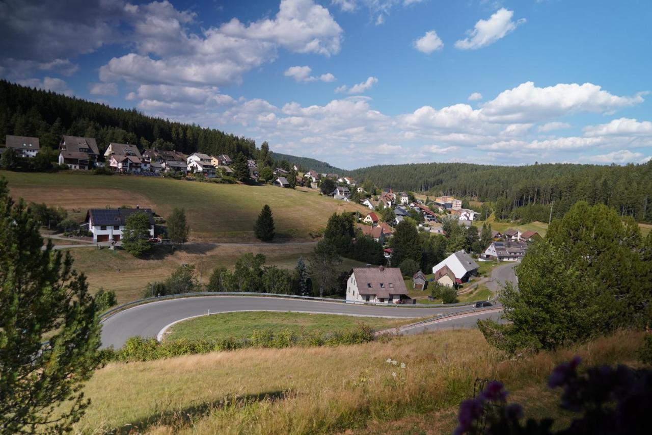 Schwarzwaldblick Eisenbach (Breisgau-Hochschwarzwald)