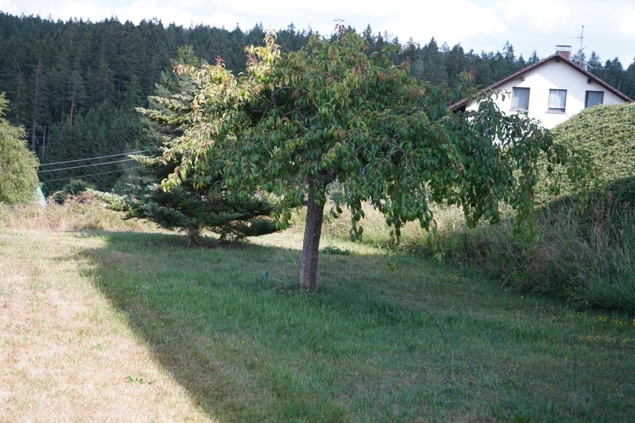 Schwarzwaldblick Apartment *